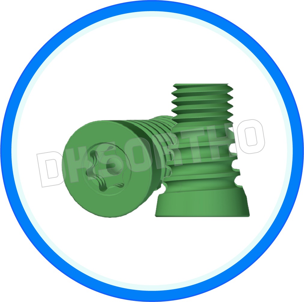 Subtalar Screw